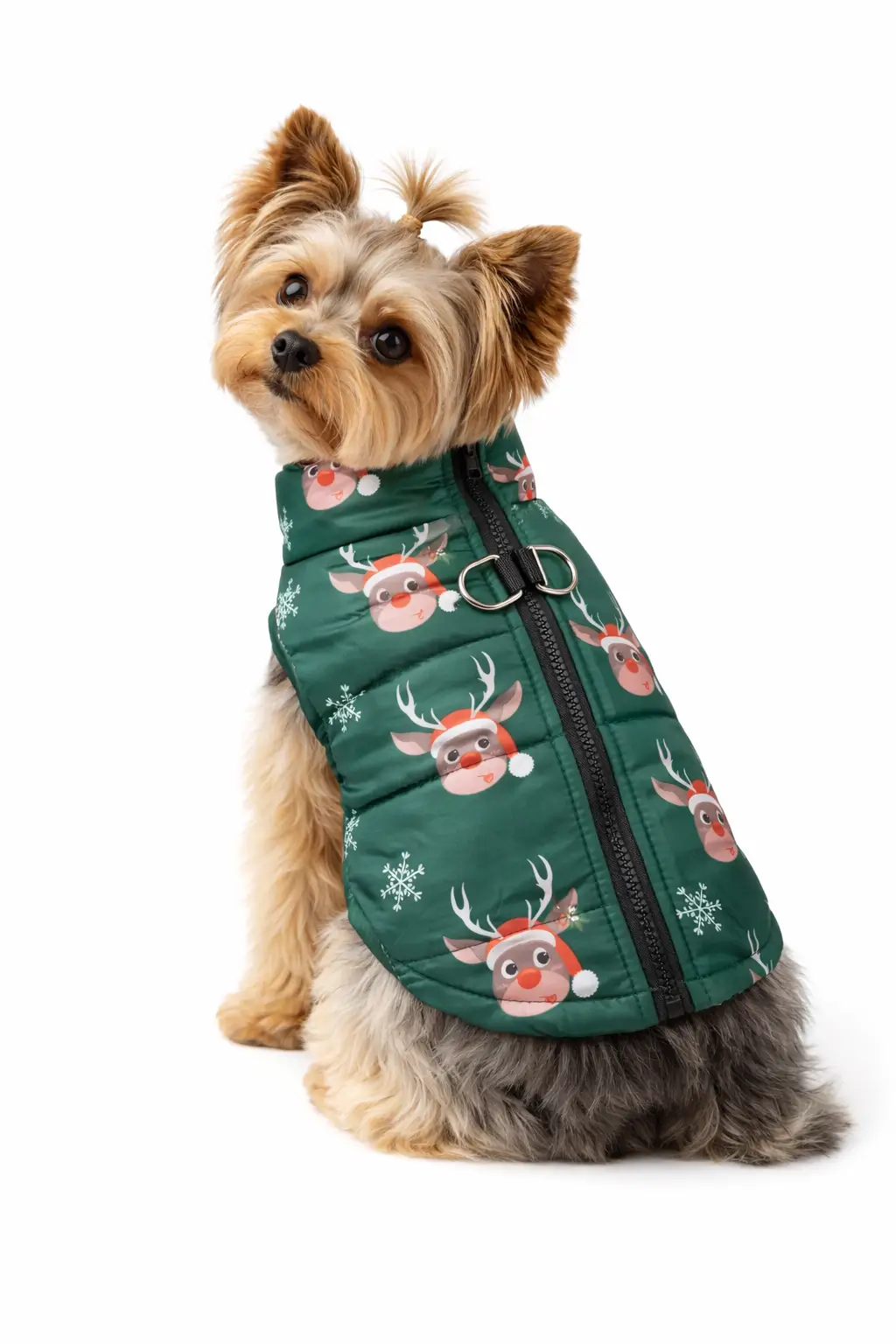 Зимно яке за кучета – Коледен дизайн